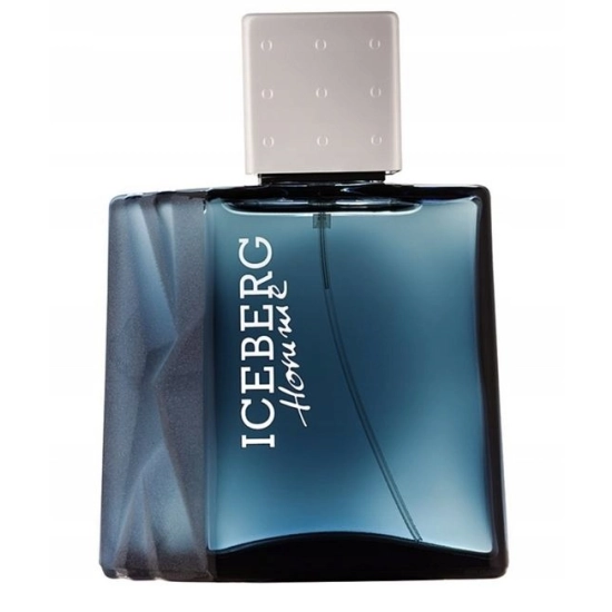 ICEBERG HOMME EDT – WODA TOALETOWA DLA MĘŻCZYZN – 100 ML – TESTER