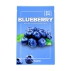 The SAEM Natural Maska w płacie Blueberry 21ml