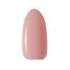 CLARESA N Brush Easy Gel nr 4 - 5 g
