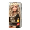 Delia Cosmetics Cameleo HCC Farba permanentna Omega+ nr 9.1 Ultimate Ash Blond  1op.