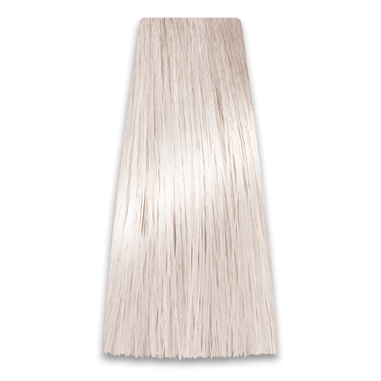 PROSALON PROFESSIONAL Intensis Color Art Profesjonalna Farba do włosów nr 10.1 bardzo jasny popielaty blond 100g