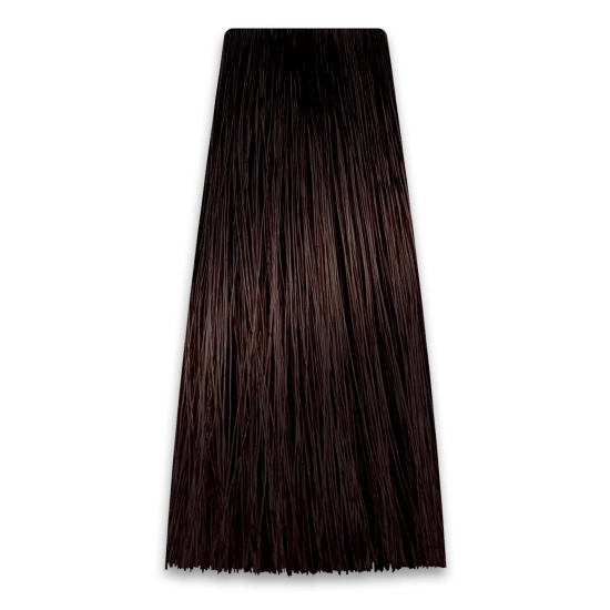 CHANT.PROF 100 g farba COLORART nr 5/B1