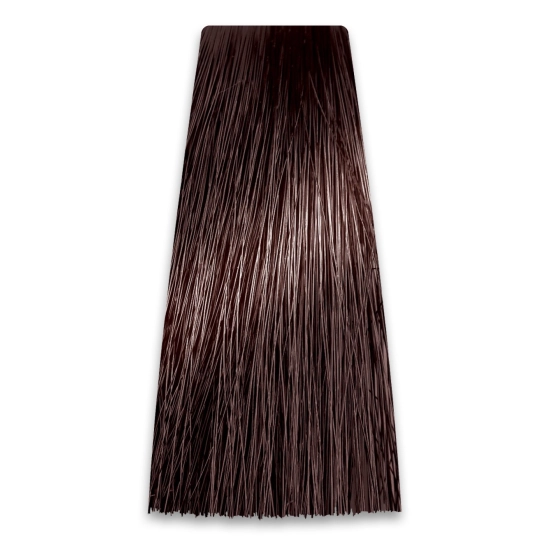 CHANT.PROF 100 g farba COLORART nr 5/G4