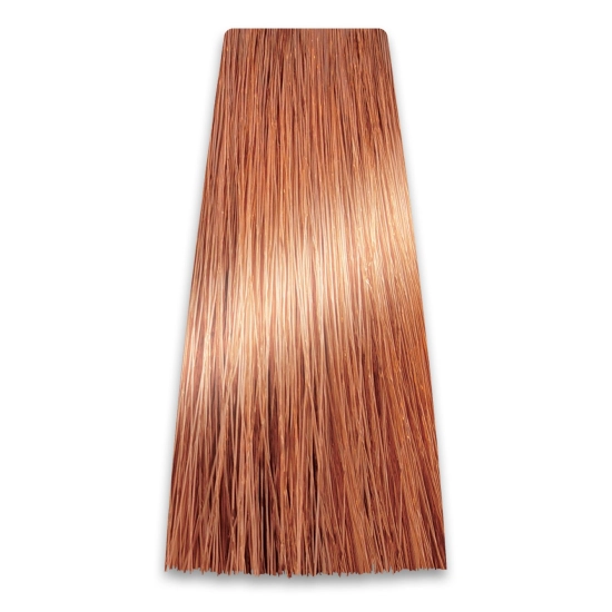 CHANT.PROF 100 g farba COLORART nr 9/04
